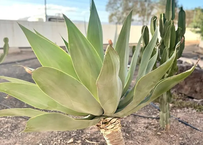 Sun Ventura * קוסטה דה אנטיגואה