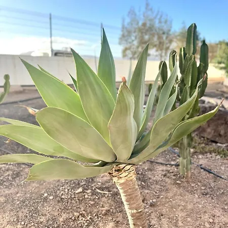 Sun Ventura * Costa De Antigua